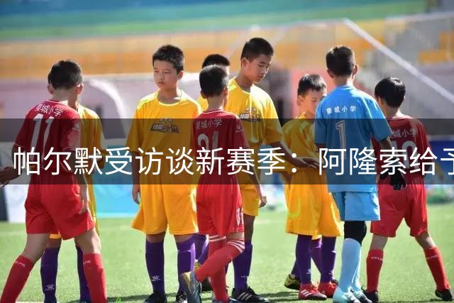 帕尔默受访谈新赛季：阿隆索给予信任 我将全力以赴