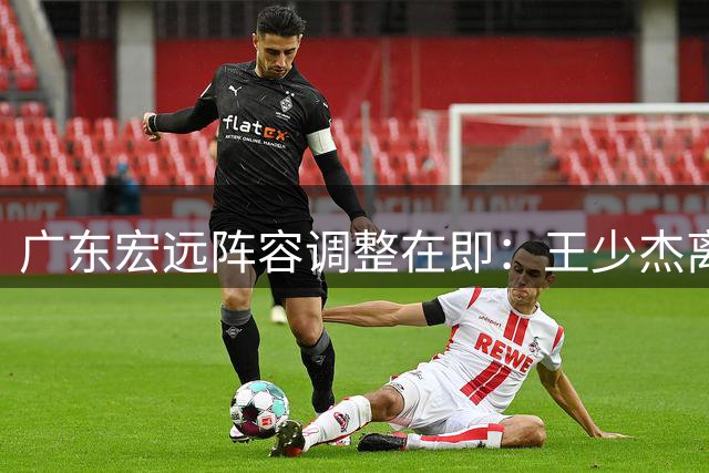 广东宏远阵容调整在即：王少杰离队成定局，朱芳雨去向成谜